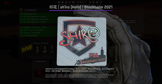 中国电竞世界杯夺冠背后的故事与成就